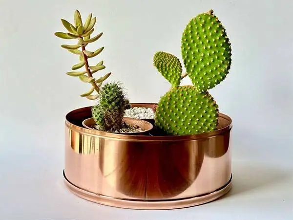 Paul Selley -  Copper plant pot