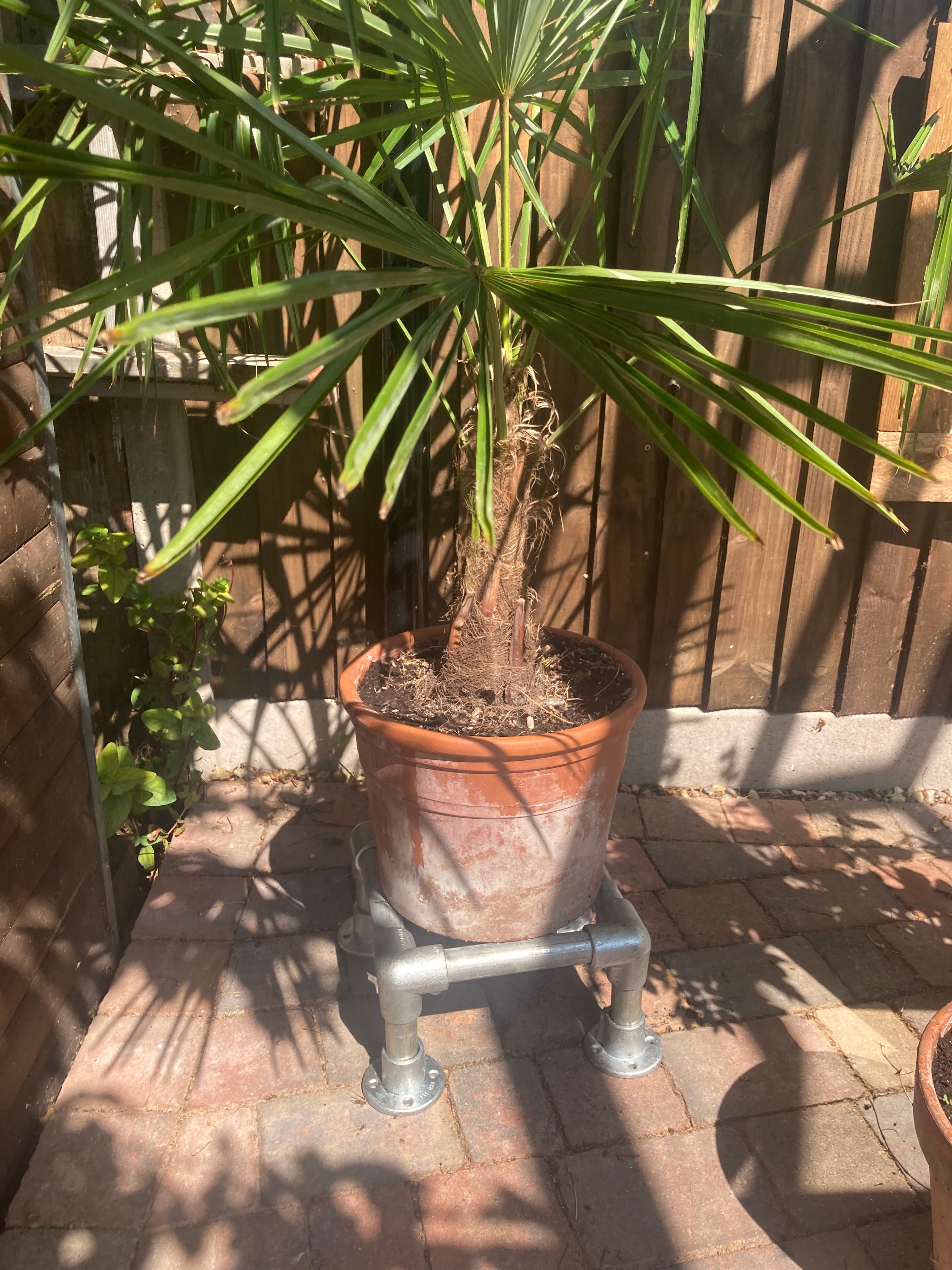 Jacqueline Beavis - Industrial Pot Stand