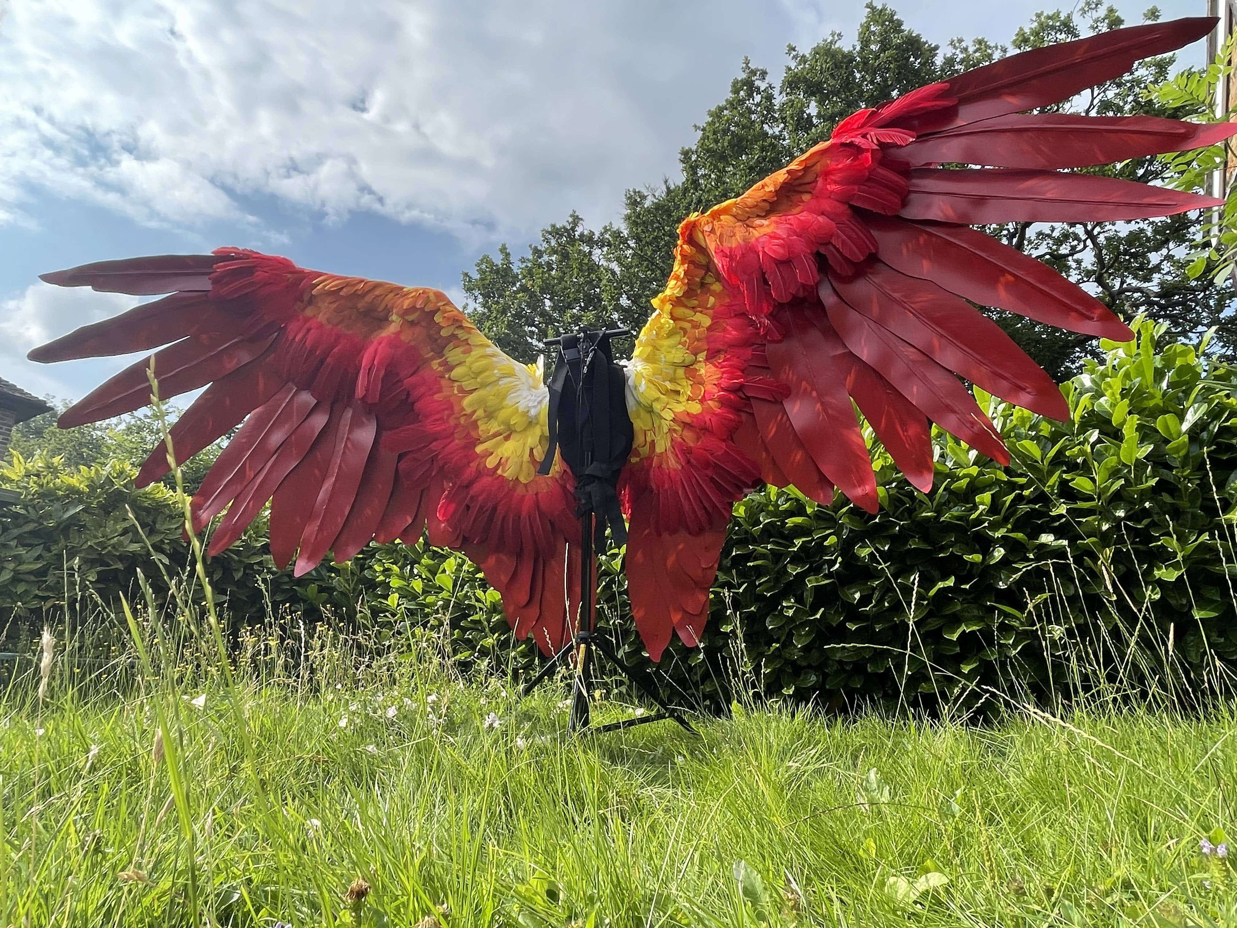 Nedine O'Brien - Phoenix Wings