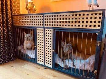 Ralph Allen - Stylish dog beds