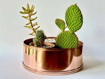 Paul Selley -  Copper plant pot